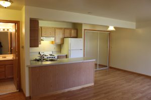 places to rent in ann arbor