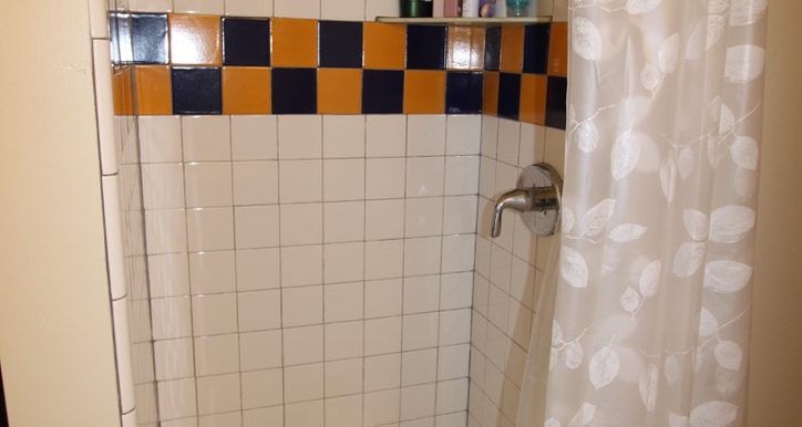 814 Sylvan main bath